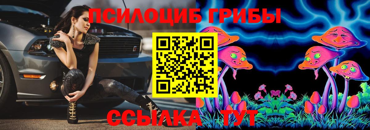 Лосино-Петровский  наркота  Вход с VPN  Галлюциногенные грибы Cubensis 