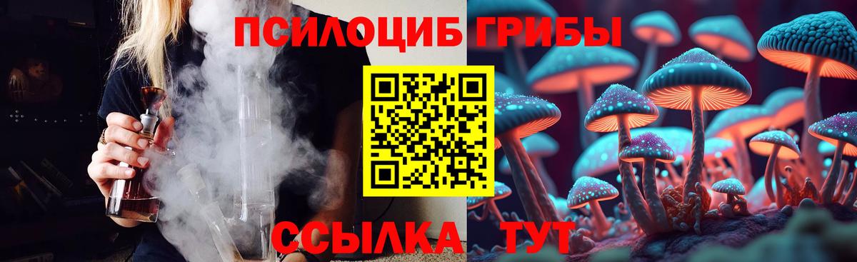 Псилоцибиновые грибы Cubensis Лосино-Петровский